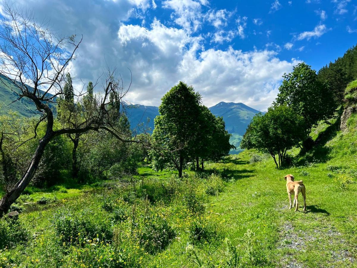 Sno Woodland别墅 外观 照片