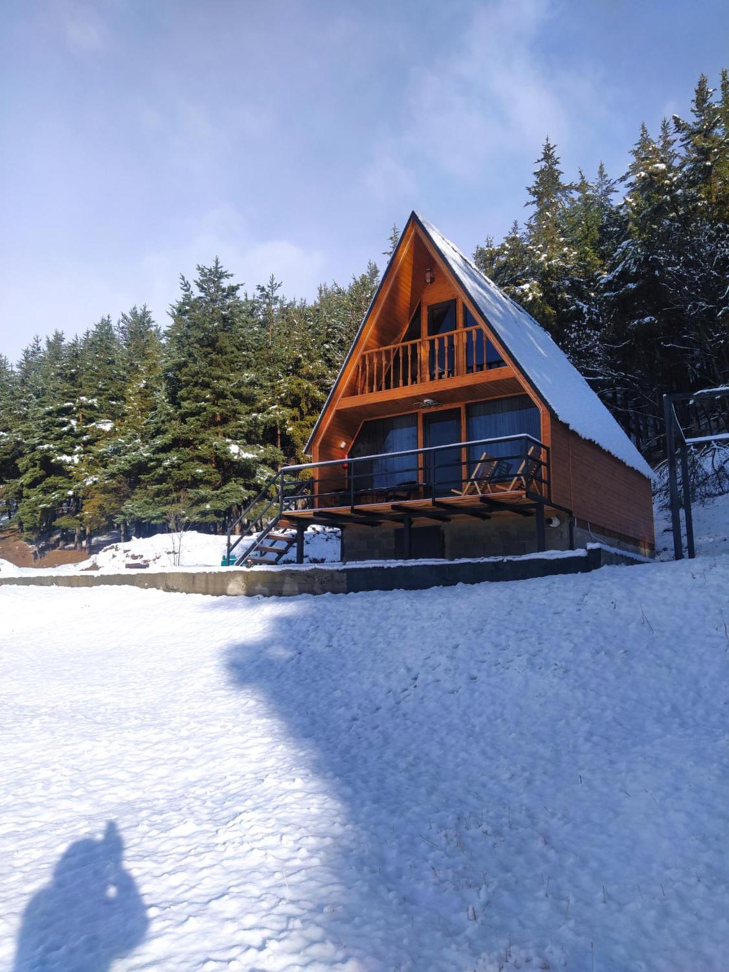 Sno Woodland别墅 外观 照片